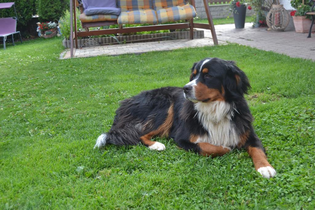 Вілла Biobauernhof Tonimoertl Маріапфар Екстер'єр фото